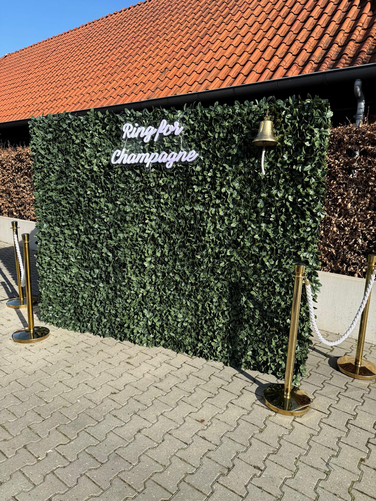 Champagne muur